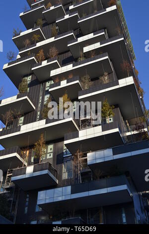 Milan/Italy - December 7, 2013: One of two famous premium ecological residential towers called `Bosco Verticale` with trees and bushes on balconies. Stock Photo